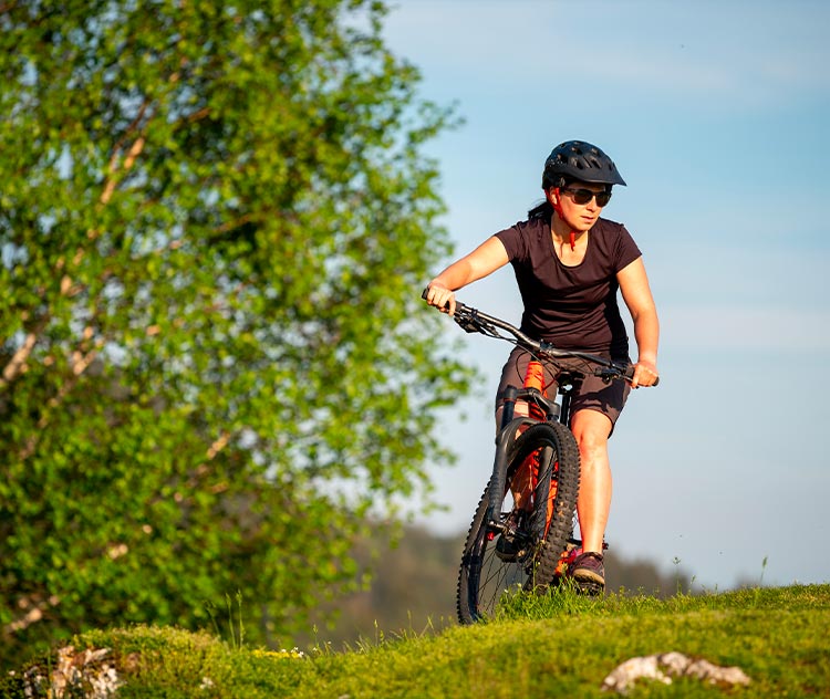 ebike